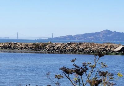 Point Isabel Regional Shoreline