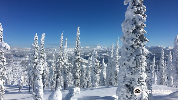 Fernie Wilderness Adventures