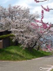 Koyama Castle Remains