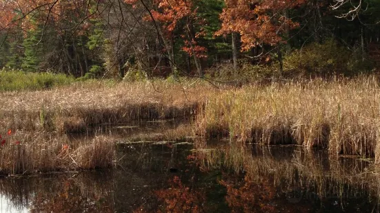 Haggetts Pond