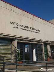 Antiquarium of Boscoreale