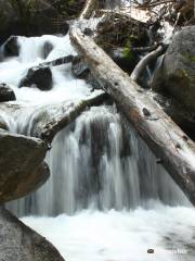 Penstock Trail (Old Pipeline Trail)