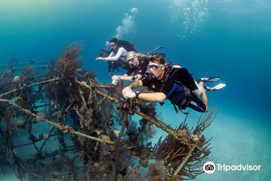 Texas Dive Center