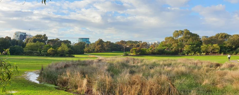 Hawthorn East