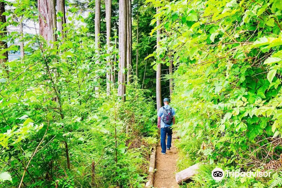 Ketchikan Rainbird Trail