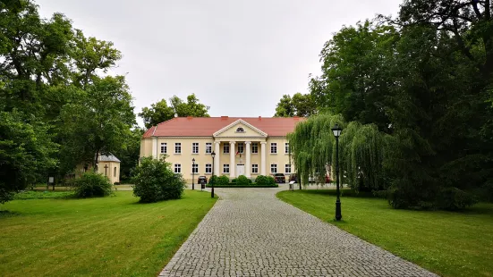 Kopaszewo Palace