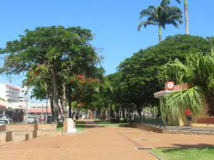 Place des Cocotiers