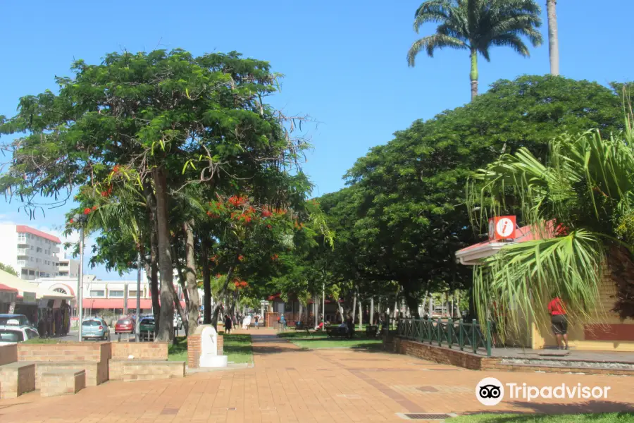 Place des Cocotiers