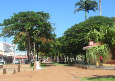 Place des Cocotiers