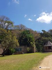 Vernon Crookes Nature Reserve