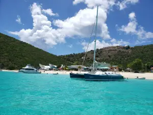 Calypso Charters Bad Kitty