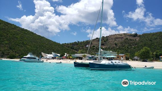 Bad Kitty and Calypso Charters