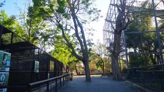 ナポリ動物園