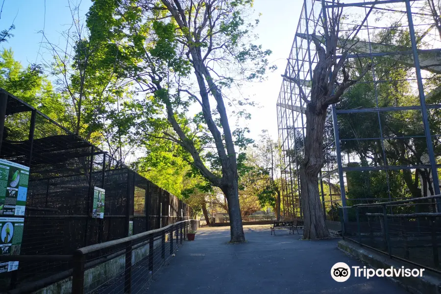 Lo Zoo di Napoli