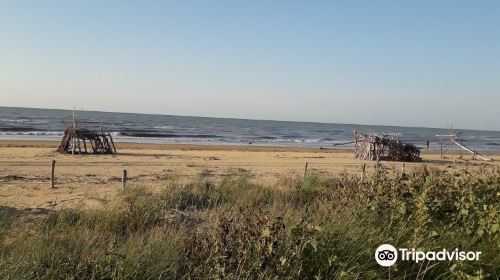 Riserva Naturale Foce Del Tagliamento