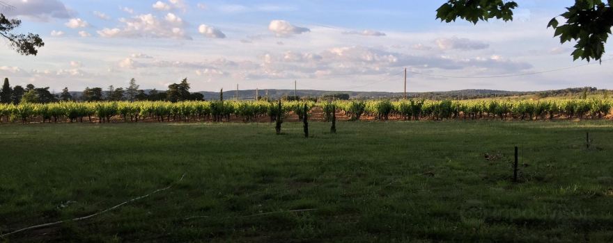 Chateau Gaussan Kozine