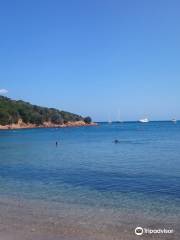 Spiaggia Porto Paglia