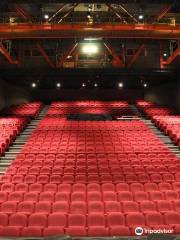 Jacques Prévert Theatre and Cinema