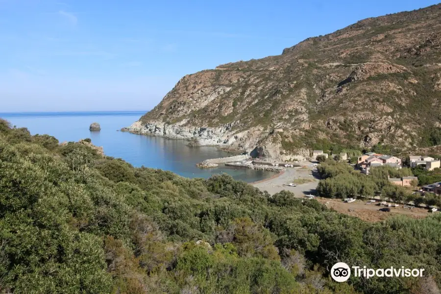 Torra di Castelleciu ou Torra Calcatoia