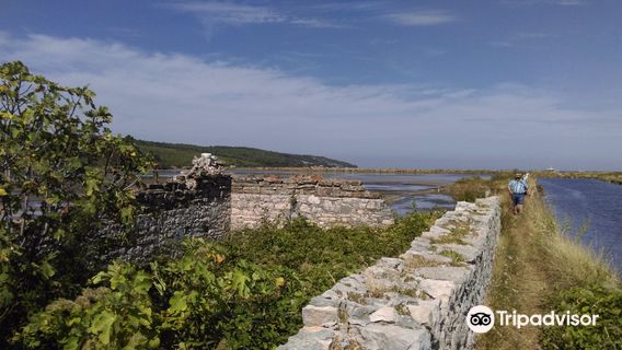 Sečovlje/Sicciole Saltpans Nature Park