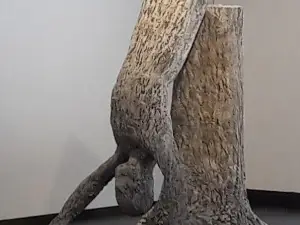 Taidemuseo Eemil