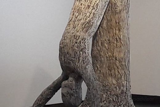 Taidemuseo Eemil