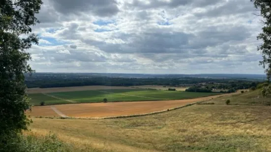 White Horse Wood