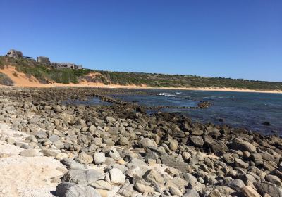 Ancient Fish Traps