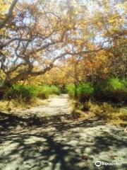 Sullivan Canyon Trail