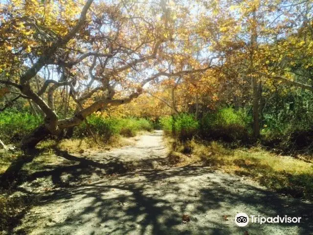 Sullivan Canyon Trail