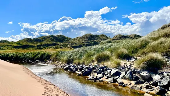 Balmedie Beach