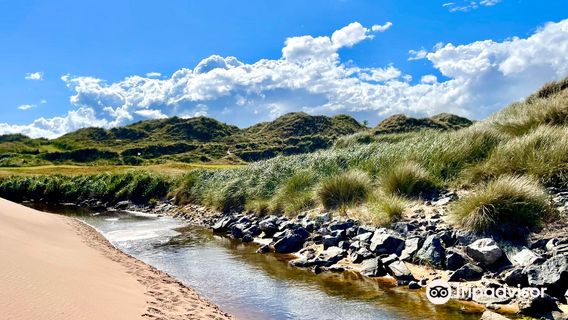 Balmedie