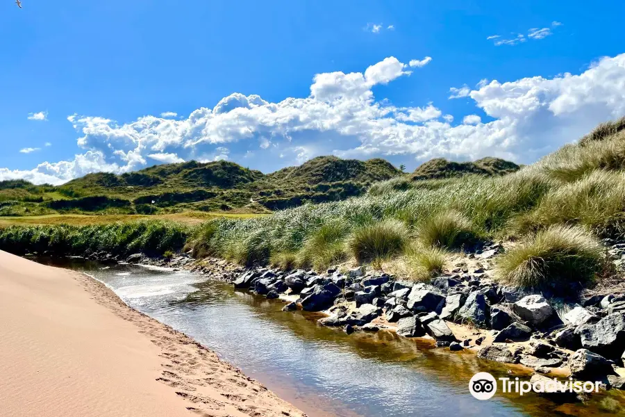 Balmedie Beach