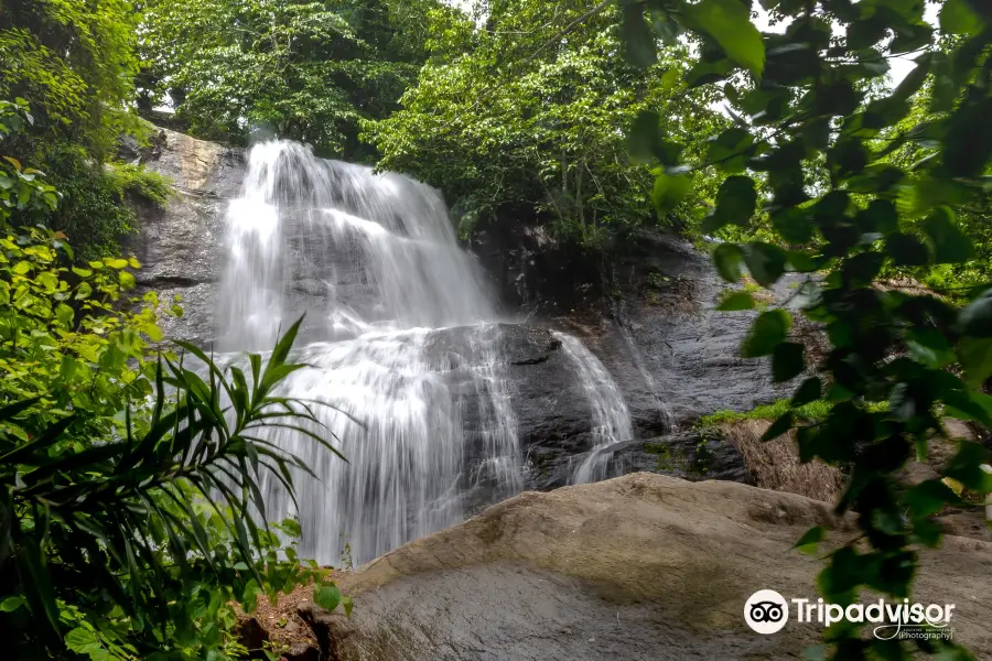 Areeckal Waterfalls