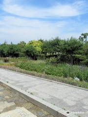 Sekijin no hoshi Park (Enshu nada Park Nakatajima North Area)