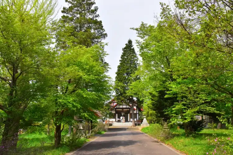 Hotels in Takikawa