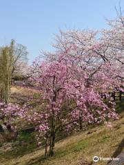 Sanuki Airport Park