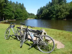 Forest of Dean Cycle Centre