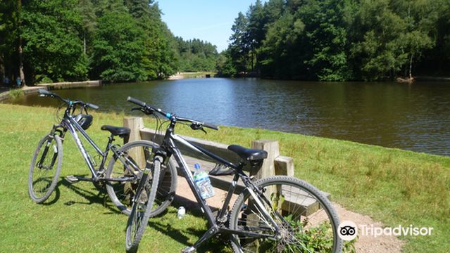 Forest of Dean Cycle Centre