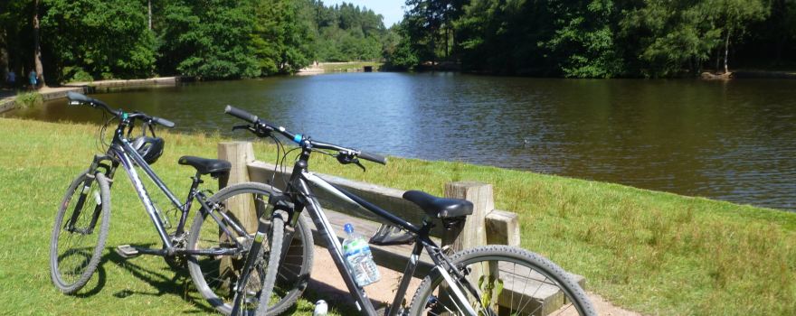 Forest of Dean Cycle Centre