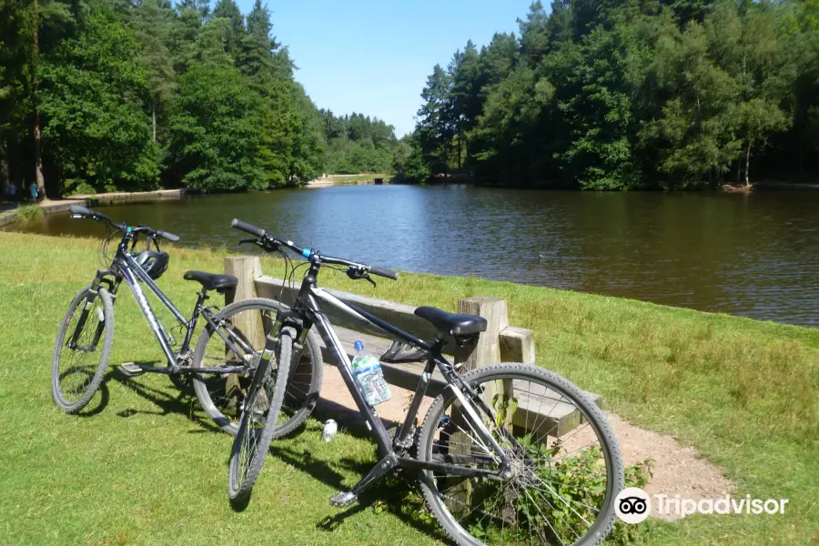 Forest of Dean Cycle Centre