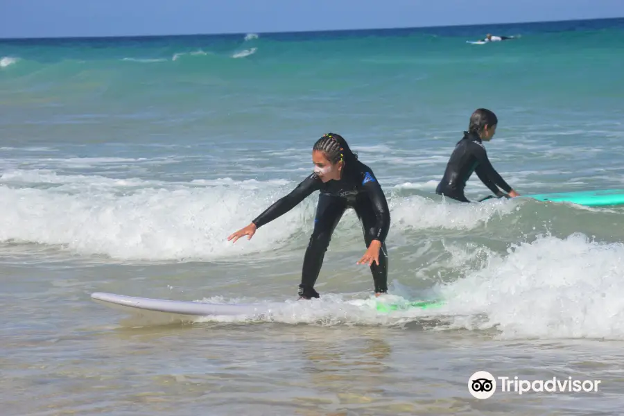 Surfers Free School