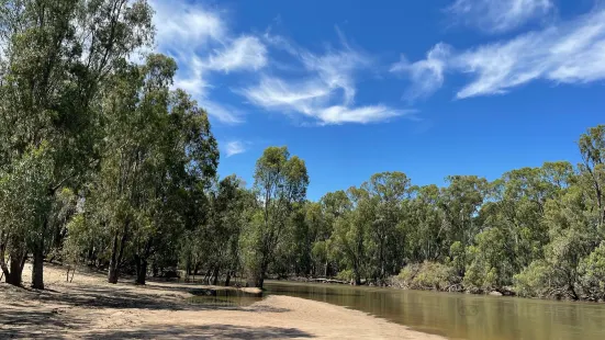 Koala Reserve