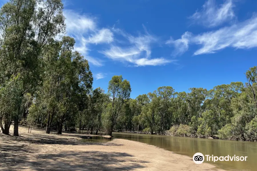 Koala Reserve