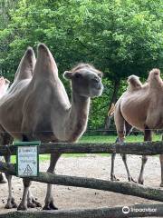 Tierpark Stadt Haag