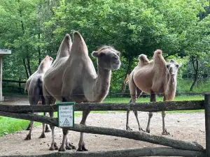 Tierpark Stadt Haag