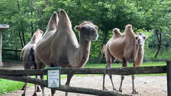 Tierpark Stadt Haag