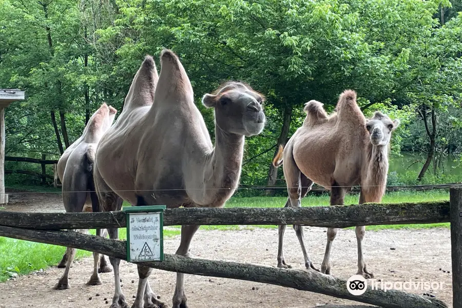 Tierpark Stadt Haag