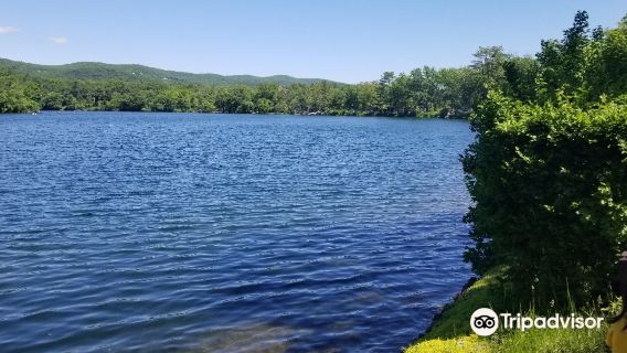 Big Bear Mountain + Beacon Retro Town 1-Day Tour