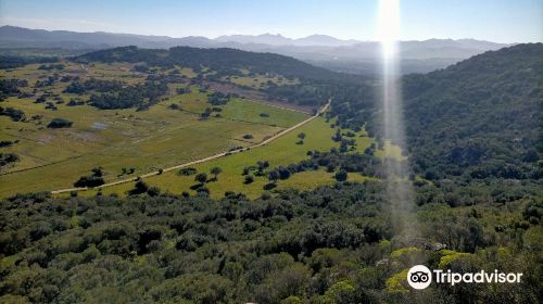 Castello di Sa Paulazza